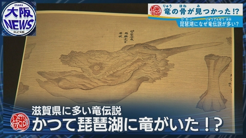 TVOやさしいニュース特集 【かつて琵琶湖に竜がいた⁉】竜伝説と”骨”の謎を追う！