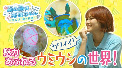 南の島の澪花ちゃん～サンゴと海の物語～ 魅力あふれるウミウシの世界へようこそ！