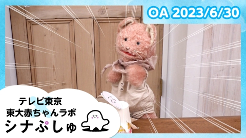 シナぷしゅ