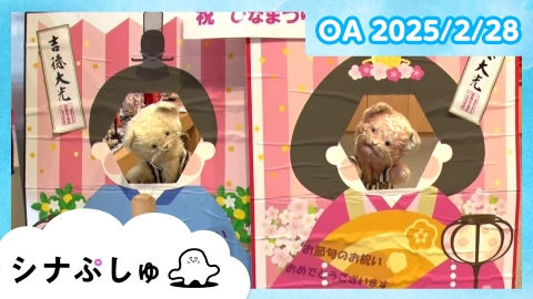シナぷしゅ シナぷしゅ公式25/02/28