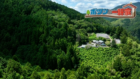 ポツンと一軒家 高知県の山奥に広がっていたのは、天空の農園！？愛情あふれる有機野菜づくりに励む師弟の日々に密着