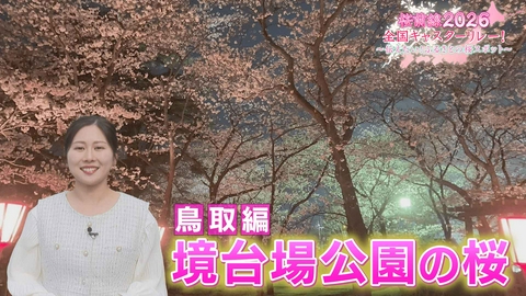 桜前線2026 全国キャスターリレー！ ～伝えたい！ふるさとの桜スポット～ 鳥取編「境台場公園の桜」