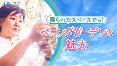 ウチ、“断捨離”しました！ 7月8日(火)放送分 「ママもパパも