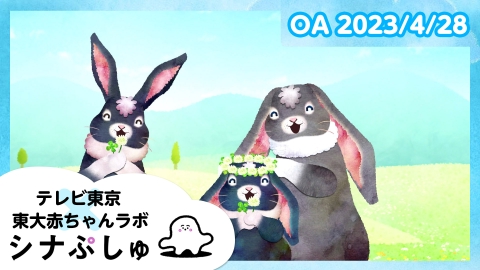 シナぷしゅ