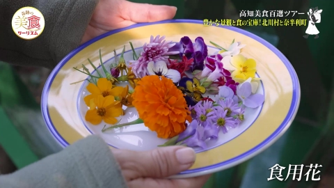 ネイチャーワールド高知　奇跡の美食ツーリズム #31