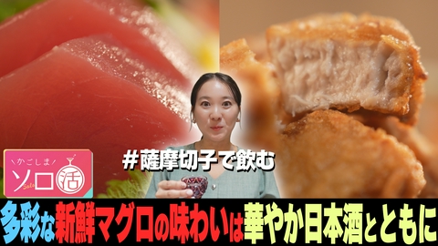 かごしまソロ活 多彩な新鮮マグロの味わいは華やか日本酒とともに