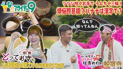 ならフライデー９ 新茶の季節到来！世界に誇る大和茶のディープな世界を元ＮＭＢ４８出口結菜が堪能！