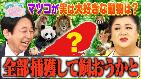マツコ＆有吉 かりそめ天国 マツコが飼いたい動物 銀次と京子の絶品チャーハン旅