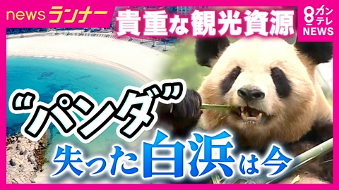 newsランナー パンダ不在でも客足好調　和歌山・白浜町　アドベンチャーワールドが目指す「地球で1番癒されるパーク」　町長が明かす通年型の観光構想　「温泉」への原点回帰
