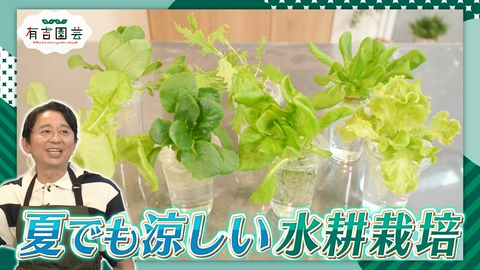 夢が咲く 有吉園芸～Road to start a garden shop～ 誰でも簡単！水耕栽培＆群馬県の体験型植物園を散策