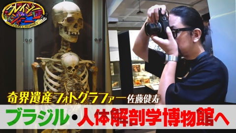 クレイジージャーニー ブラジル奇界遺産★佐藤健寿が実物の人体標本を展示する世界で希少な博物館へ