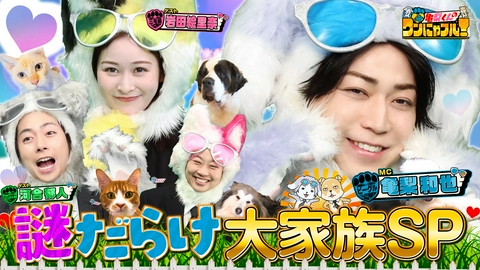 亀梨くんのワンにゃフル！ MC：亀梨和也！猫嫌い保護猫シン…涙の譲渡＆モップ大型犬＆壁挟まれ猫救出