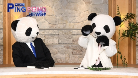 ＷＥＥＫＬＹ　ＰＩＮＧ　ＰＯＮＧ　ＮＥＷＳ 卓球界黄金世代、平野美宇、早田ひな特集