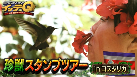 世界の果てまでイッテQ！