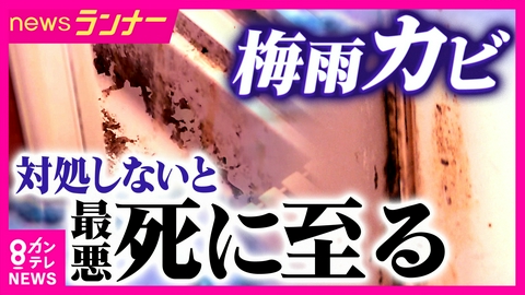 newsランナー 「風呂のカビはこすったらダメ！」　まもなく梅雨本番　“カビ”の脅威にどう対処すればいい？　最悪の場合“死亡”も…　梅雨に増える「肺炎」原因はカビか