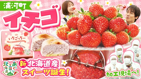 あぐり王国北海道NEXT 函館の洋菓子店「スナッフルス」とのコラボ第２弾！