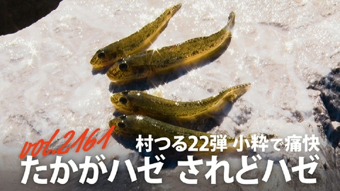THEフィッシング 村つる第22弾　小粋で痛快 たかがハゼ されどハゼ