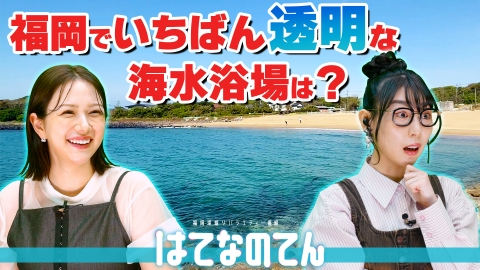 はてなのてん 海の透明度を全力調査！福岡で1番キレイな海はどこ？