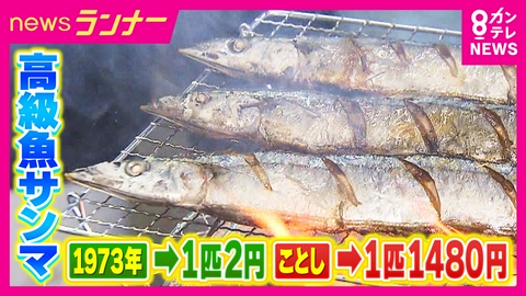 newsランナー “秋の味覚”サンマがことしは“高級魚”に？　1匹2円の時代もあったのに…来遊量が過去最低水準　でも「サイズ大きい・鮮度よし・脂のりよし」