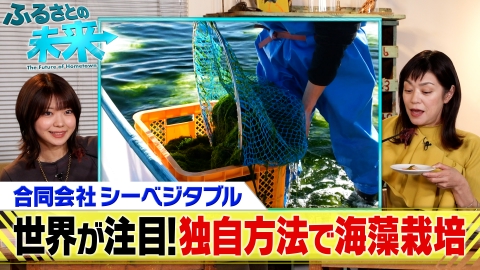 ふるさとの未来 合同会社シーベジタブル