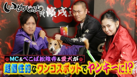 いぬじかん ぺこぱ・松陰寺の愛犬が特攻服で初ランウェイに挑戦▼下町の看板犬登場