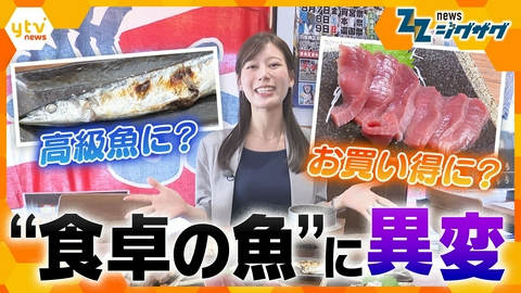 サタデーLIVE ニュース ジグザグ 食卓に異変！“大衆魚”が“高級魚”に！？ “海のダイヤ”が“無価値”に？！【ニュース ジグザグ】