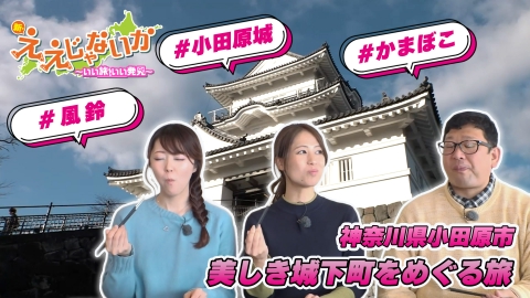 新・ええじゃないか ＃151　神奈川　小田原市　美しき城下町をめぐる旅