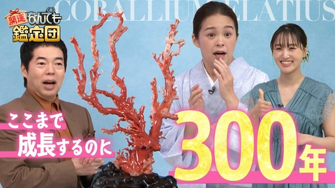開運！なんでも鑑定団 103歳叔母が遺した＜モモイロサンゴ＞＆＜伊藤若冲＞の花鳥図に驚き値
