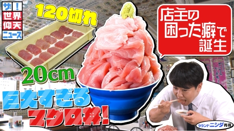 ザ!世界仰天ニュース 巨大すぎるマグロ丼!店主の困った癖で誕生!
