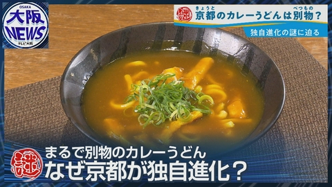 TVOやさしいニュース特集 【京都だけ別もの？】独自進化のカレーうどん…鍵は“〇〇出汁”
