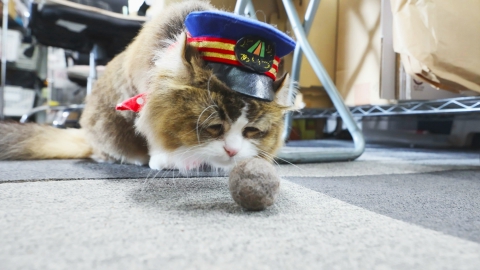 ふにゃ～り日和 7月29日(火)放送分 Vol.71 おやつの時間だにゃ