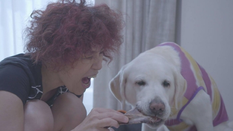 MBSドキュメンタリー 「映像」シリーズ 真っ白な世界～盲導犬で広がる視界～