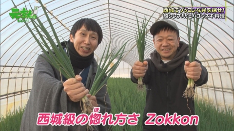元就｡ 庄原市西城町にZokkon命！ヒバゴンの里は「うまいでがんす」だらけ