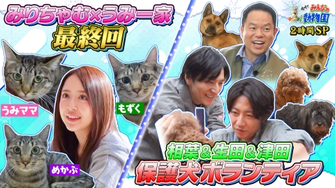 嗚呼!!みんなの動物園 みりちゃむ預かり最終回!うみ一家2度目の譲渡会