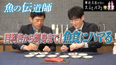 華丸大吉が行く！大人もハマる神授業 「目利きから刺し身まで！魚食にハマる！」