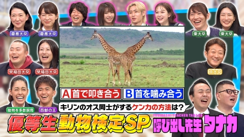 呼び出し先生タナカ 動物大好き森泉参戦！飼育員も驚くかわいい動物の生態Q
