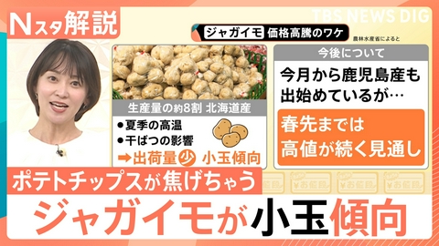 TBS NEWS DIG Powered by JNN ジャガイモの小玉化で“焦げ”の危機?【Nスタ】