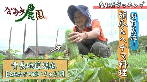 なおみ農園 なおみクッキング 財前家流！胡瓜＆ヘチマ料理