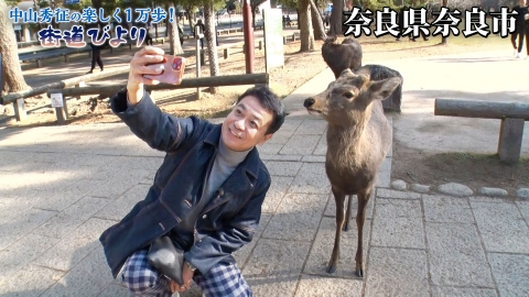 中山秀征の楽しく１万歩！街道びより 第17回「世界遺産の街・『奈良』発祥のグルメを満喫！」