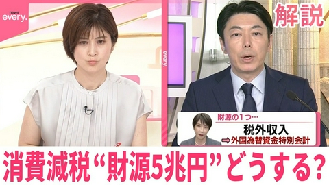 日テレNEWSセレクト 【解説】消費減税で｢年間5兆円の財源に穴｣ 財源どうする？ 総理周辺｢かなりの部分『税収上振れ』でまかなえる｣