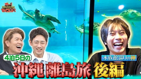 オー！マイゴッド！私だけの神様、教えます 沖縄アイランドホッピング旅 ウミガメと触れ合える(秘)スポット