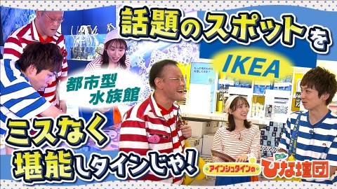 アインシュタインの出没！ひな壇団 話題の新スポットをミスなく堪能しタインじゃ！