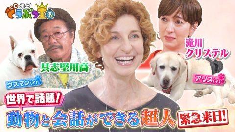坂上どうぶつ王国 話題沸騰の動物と会話できる超人が緊急来日！