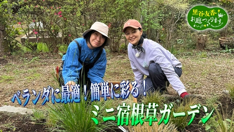 黒谷友香、お庭つくります 第63回「ベランダに最適！「ミニ宿根草ガーデン」」