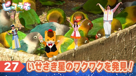 ピコラネ Episode27 いせさき星のワクワクを発見！