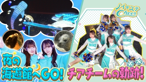 ノイミーステーションTV 【ノイステ文化祭大公開SP！▽冬限定！輝く夜の海遊館＆ノイステ文化祭 チアのウラ側に密着！】