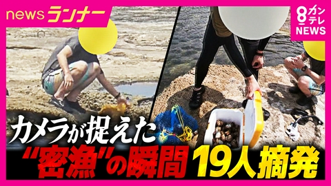 newsランナー カメラがとらえた“密漁”の瞬間　「泥棒されているような状況」海水浴シーズンに急増する密漁　漁業法違反の疑いで京都で19人摘発　クーラーボックスに大量のサザエが…