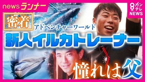 newsランナー 新人イルカトレーナーの特別な夏　“大先輩”の父の姿を見て育ち飛び込んだ世界　大舞台で挑む難易度の高い技　失敗と成長の日々に密着