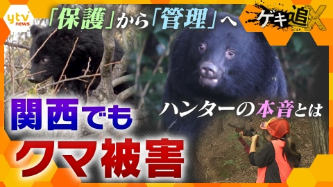 厳選！ytvニュース特集 相次ぐクマ被害「保護」から「管理」へ【かんさい情報ネット ten.特集/ゲキツイ】