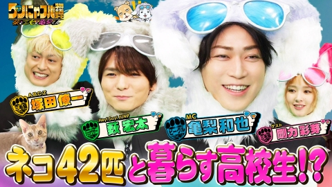 世界を救う！ワンにゃフル物語～柴と三毛と亀梨くん～ MC：亀梨和也！モフモフ大型犬祭り！7匹ピレニーズ一家＆140匹保護猫